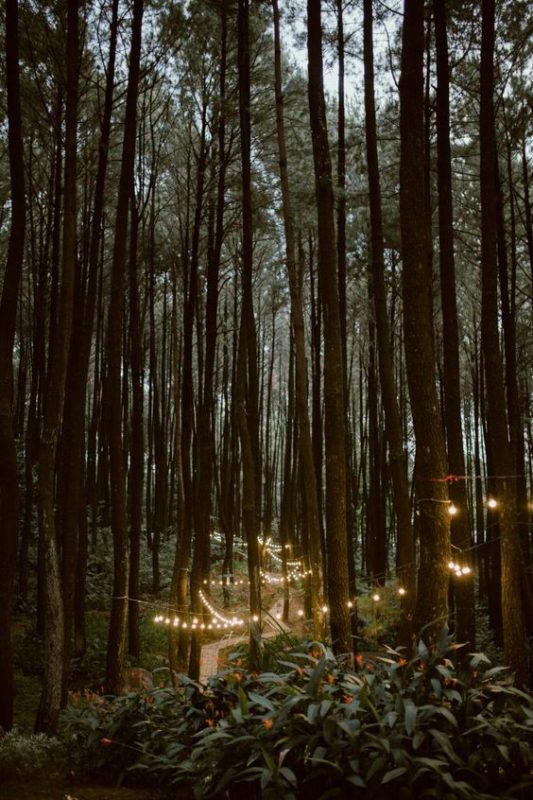 10 Tempat Wisata Alam di Bogor, Cocok untuk Liburan Keluarga