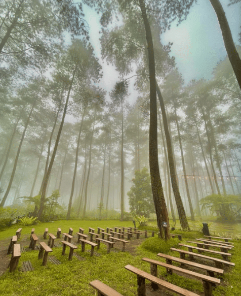 10 Tempat Romantis di Bandung Yang Cocok untuk Pasangan (ig: orchidforestcikole)